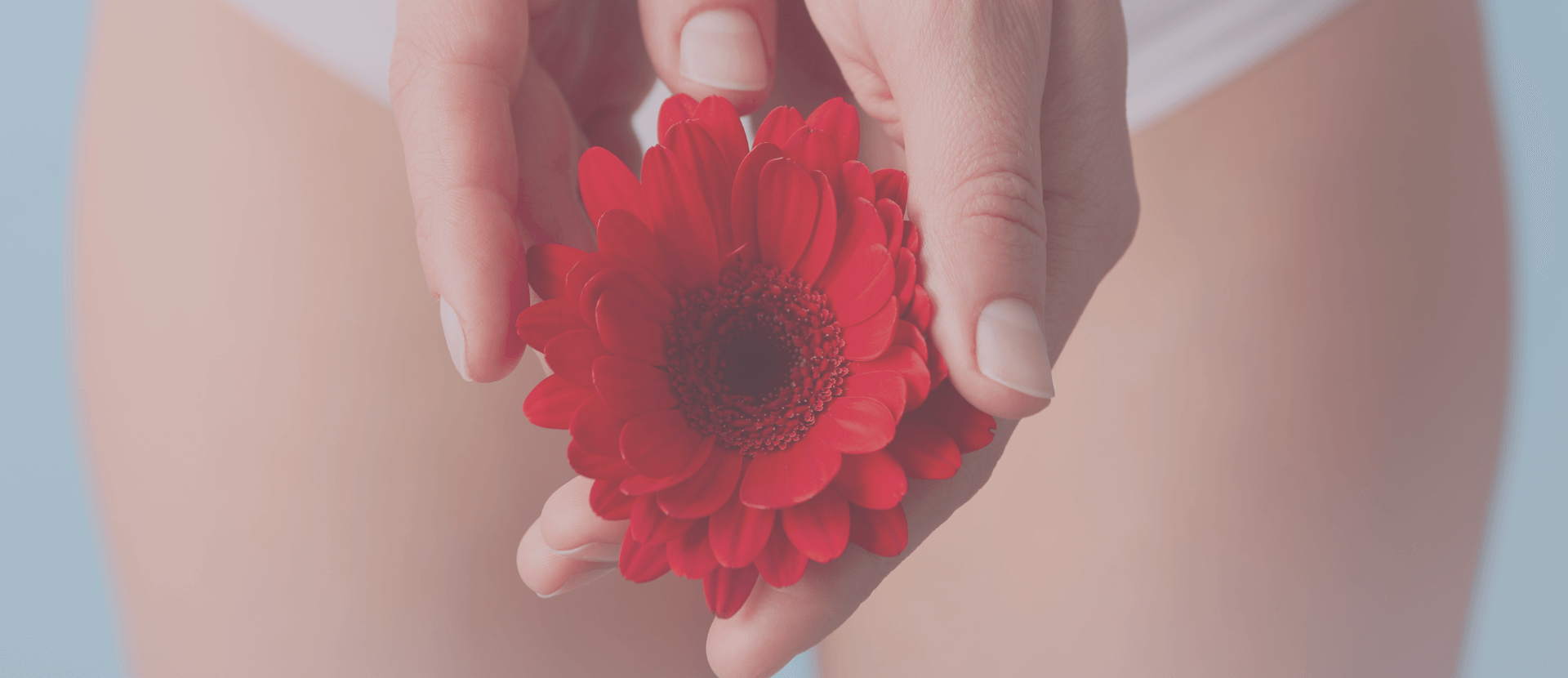 A punci élete: a születéstől idős korig